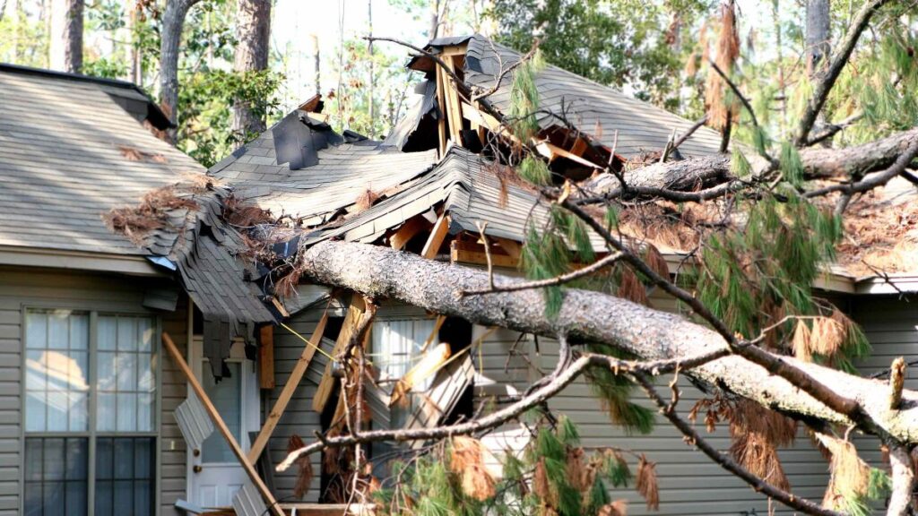 The Legal Process of Property Damage from Neighbors